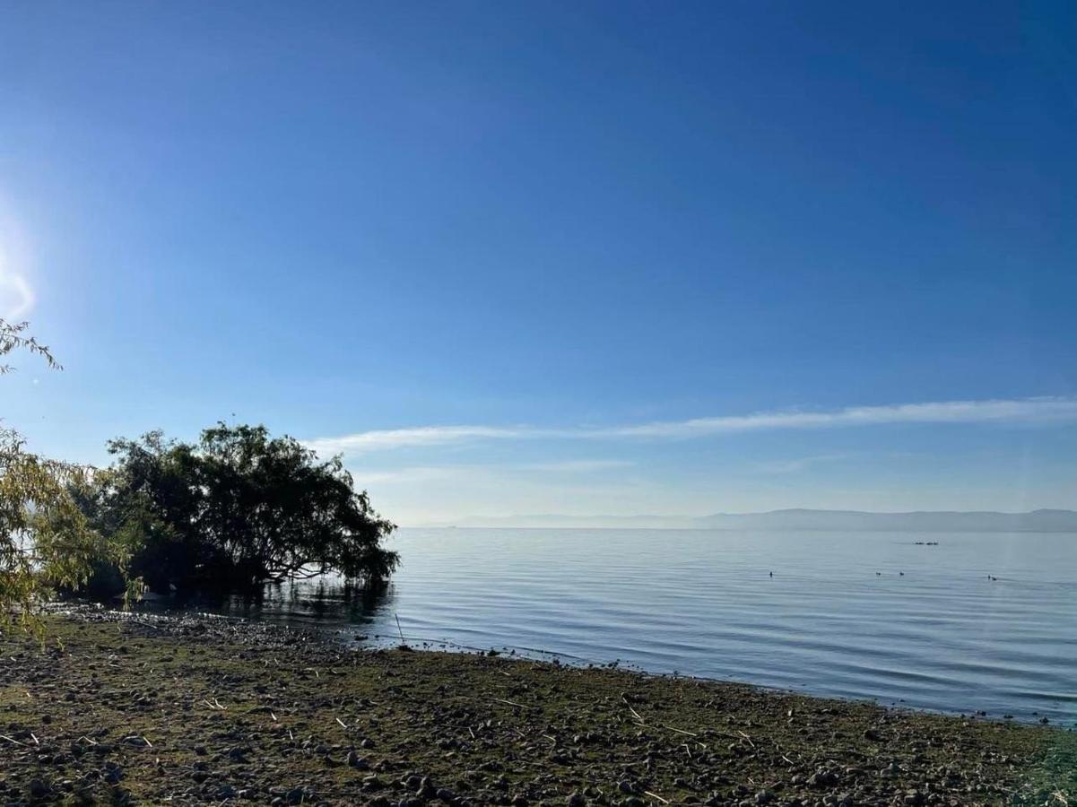 Seuia Departamentos Con Alberca A Pasos Del Lago アヒヒク エクステリア 写真
